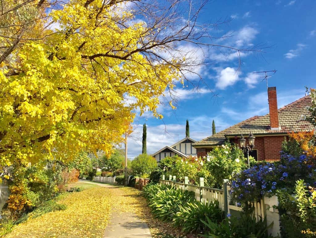 Wagga Wagga