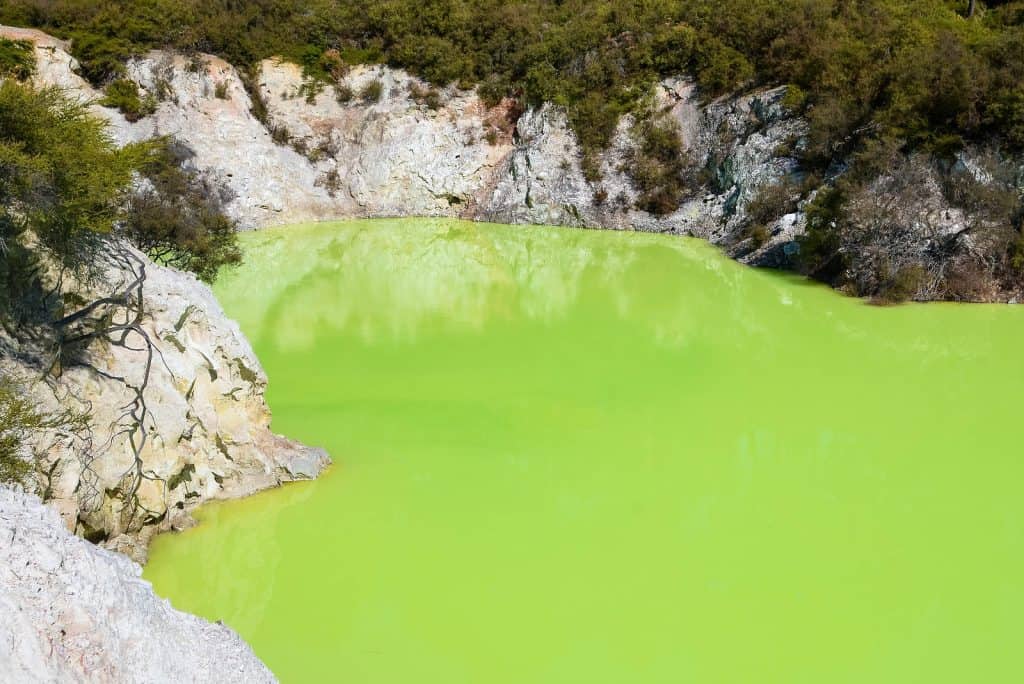 Wai-O-Tapu, Tauranga