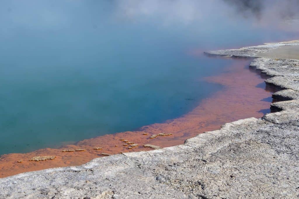 Wai-O-Tapu, Tauranga