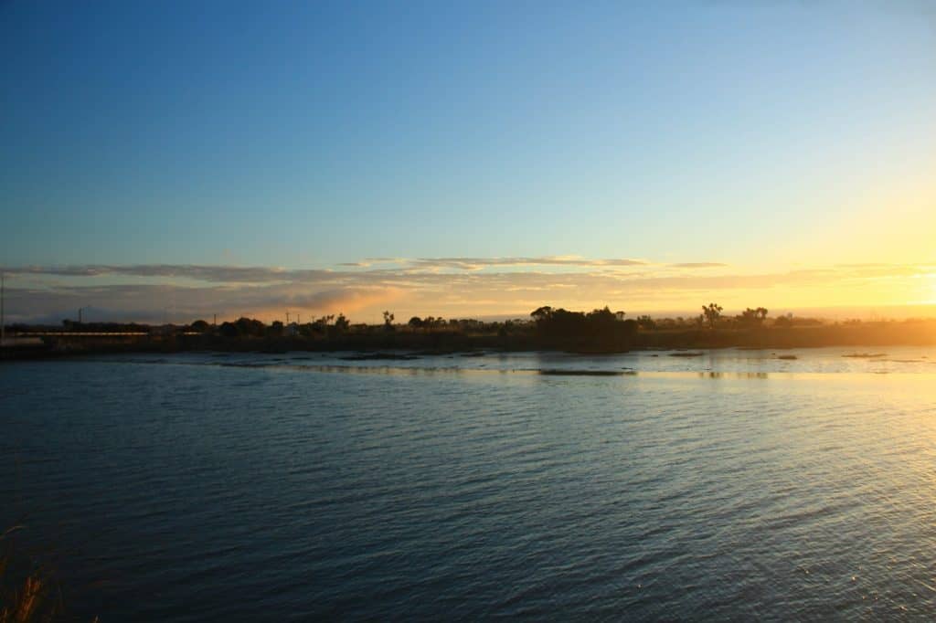 Waihou River