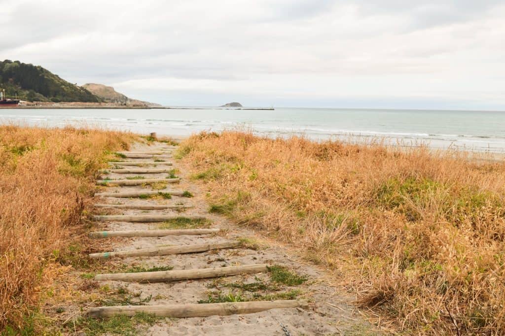 Waikanae Beach
