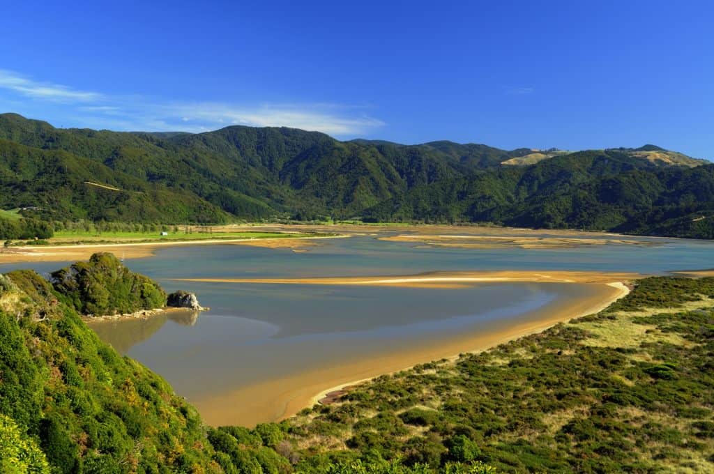 Wainui Lookout
