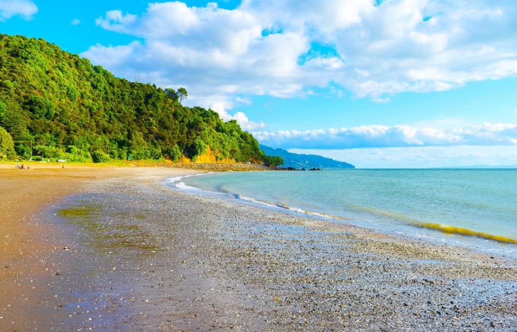 Waiomu Beach