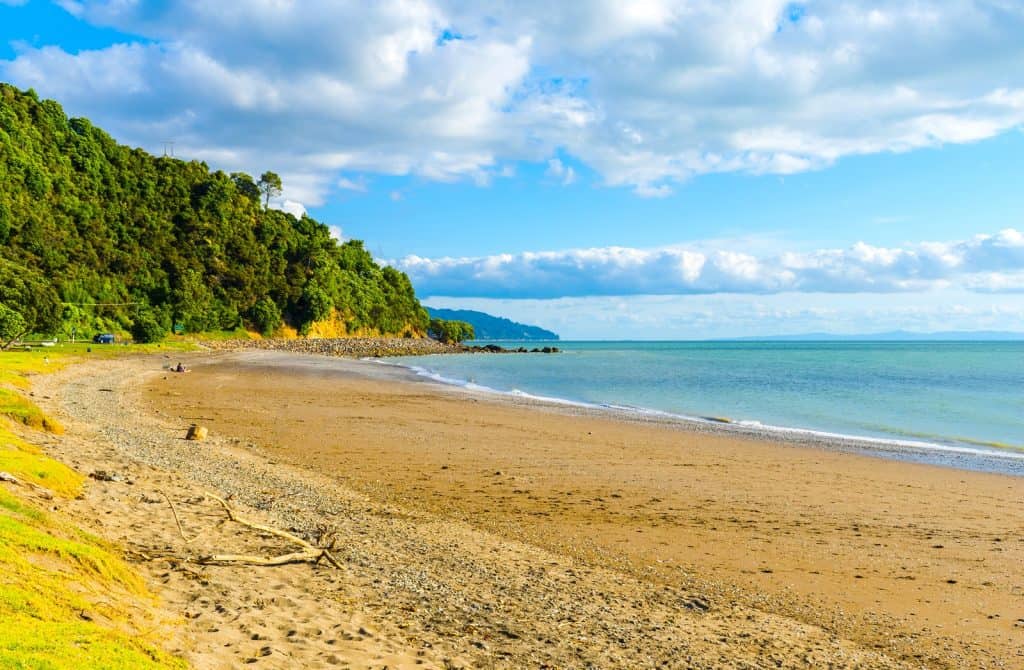 Waiomu Beach