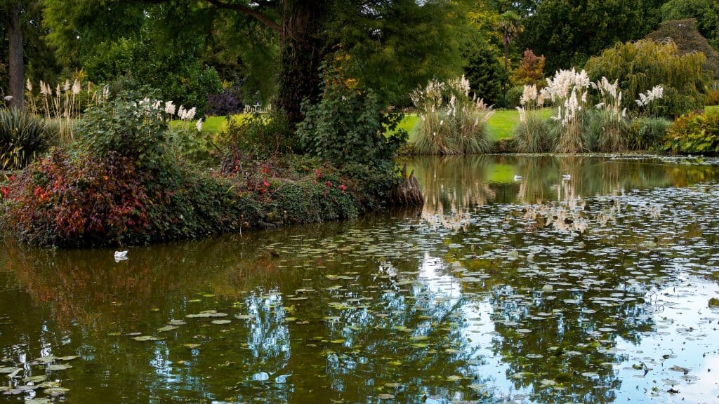 Wakehurst Place Garden