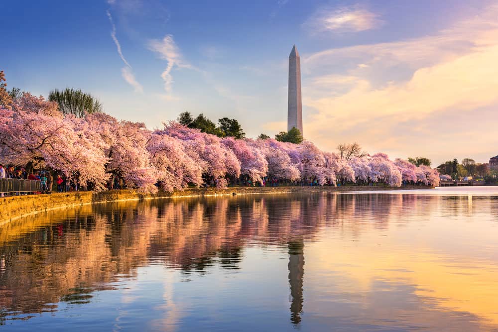 EC Washington DC