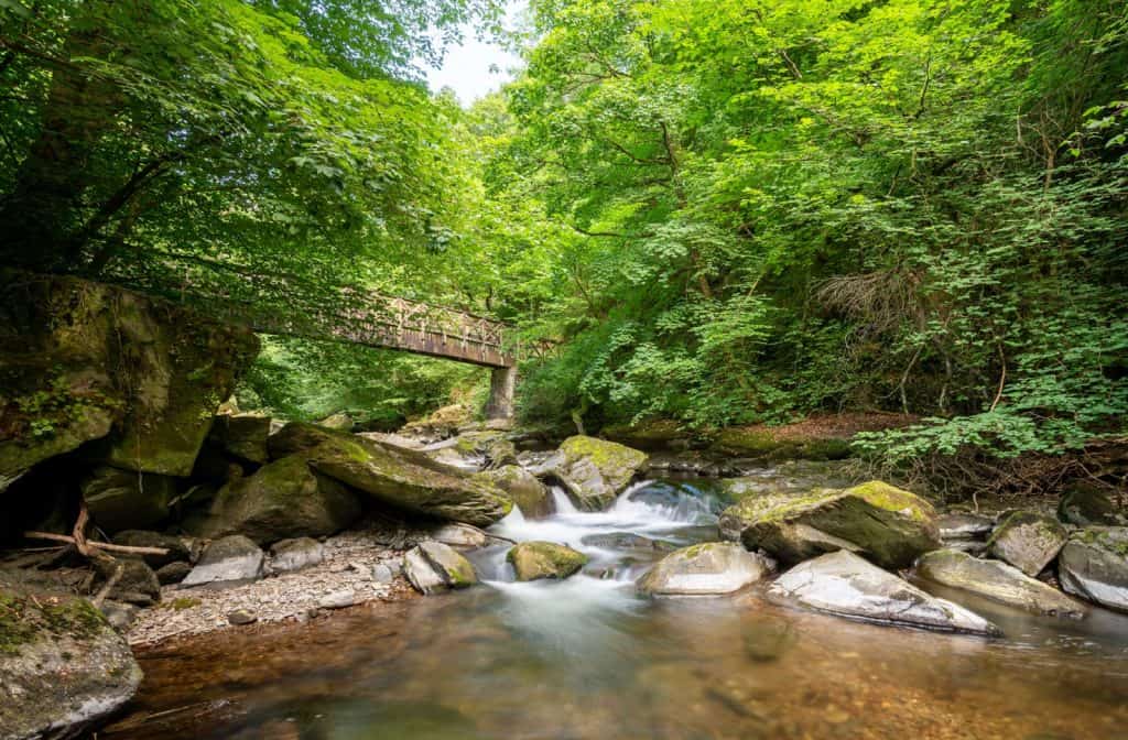 Watersmeet