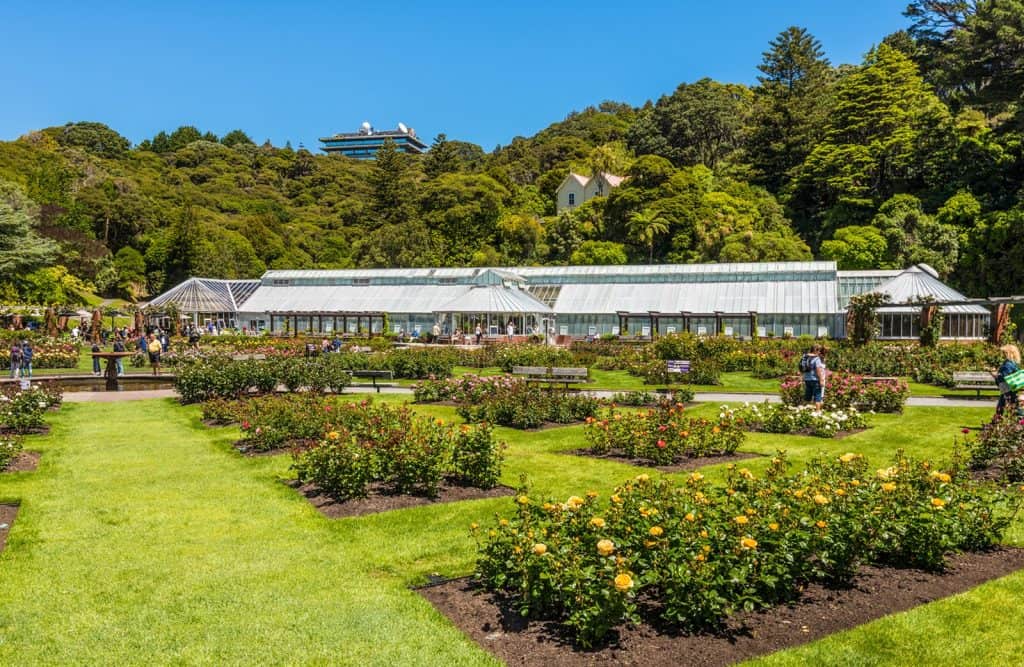 Wellington Botanic Garden