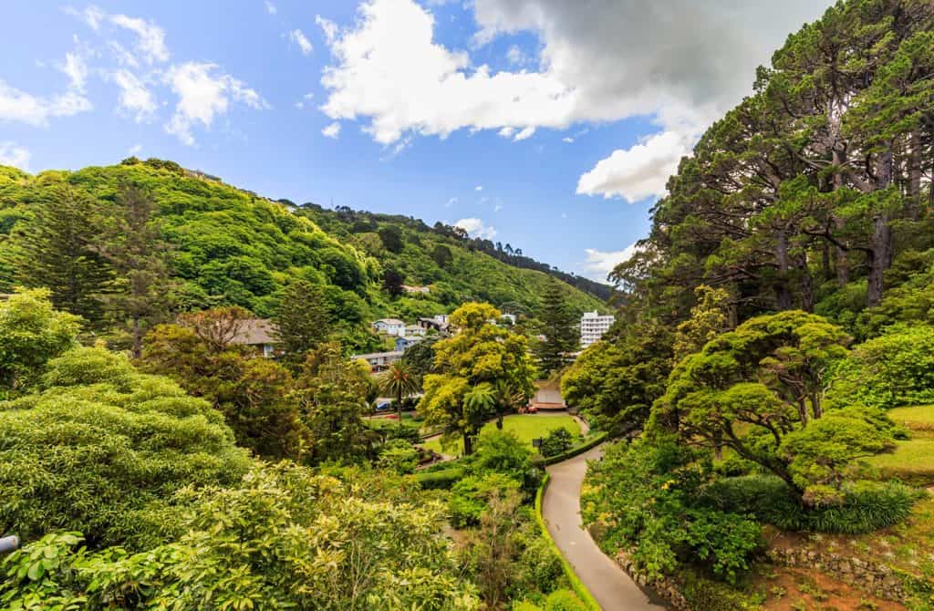 Wellington Botanic Garden
