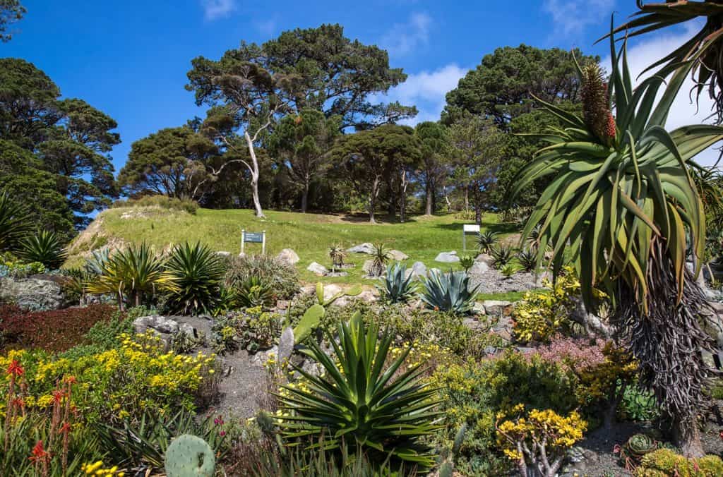 Wellington Botanic Garden