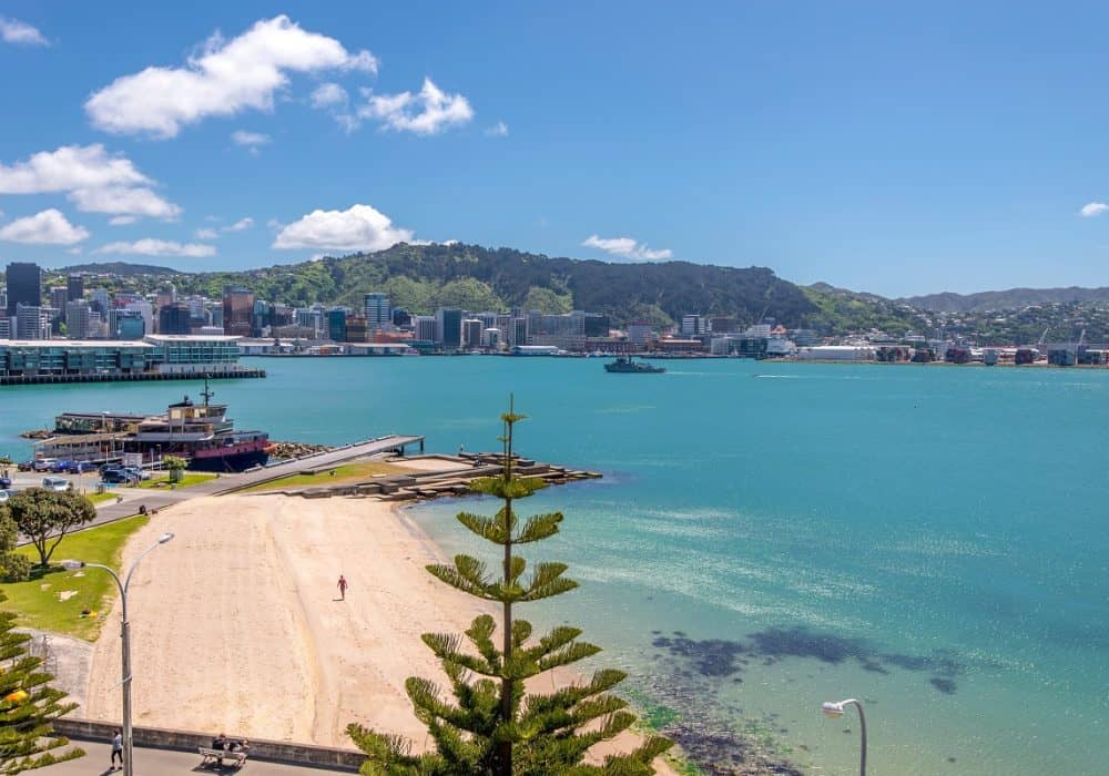 Wellington Harbour
