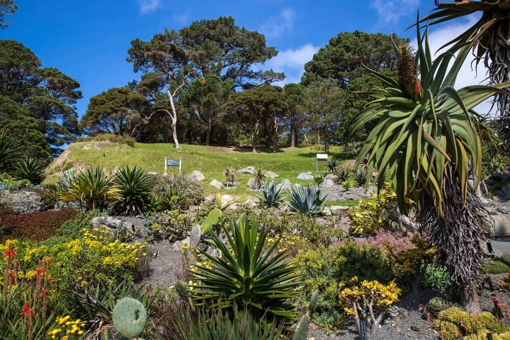 Wellington, vista desde el jardín botánico