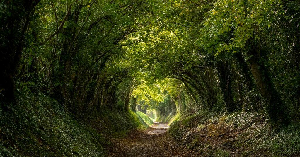 West Sussex