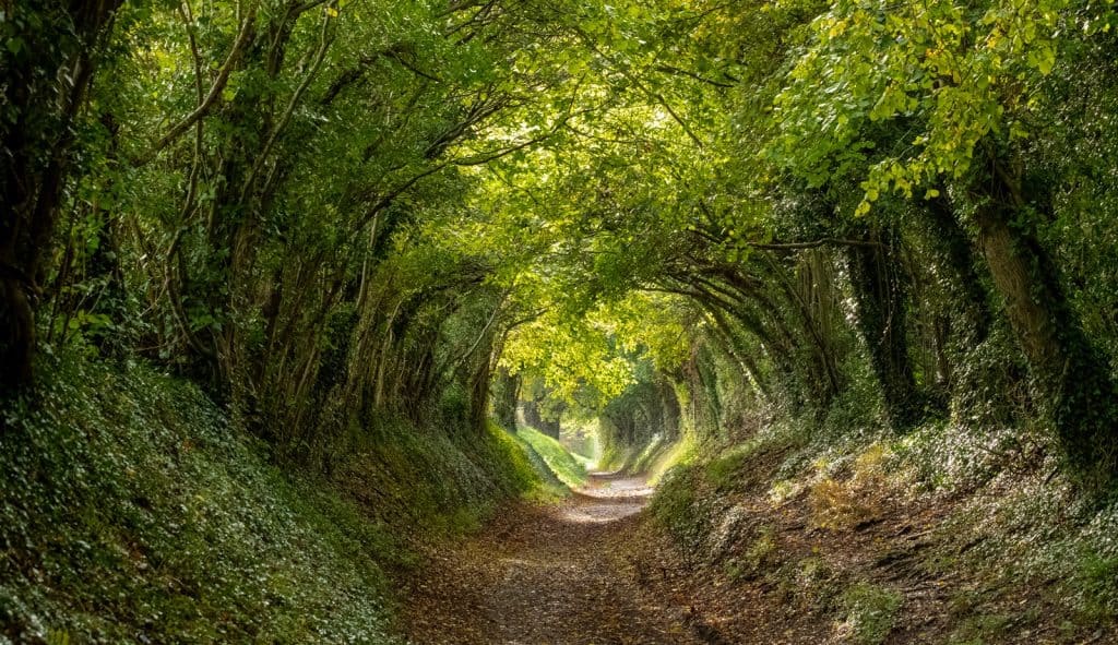 West Sussex