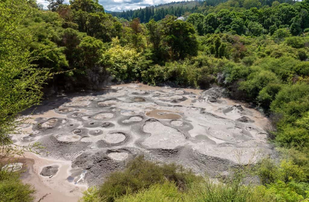 Whakarewarewa