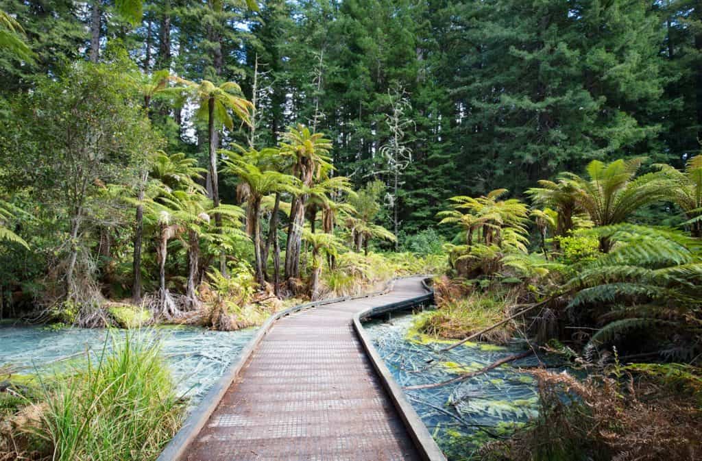 Whakarewarewa