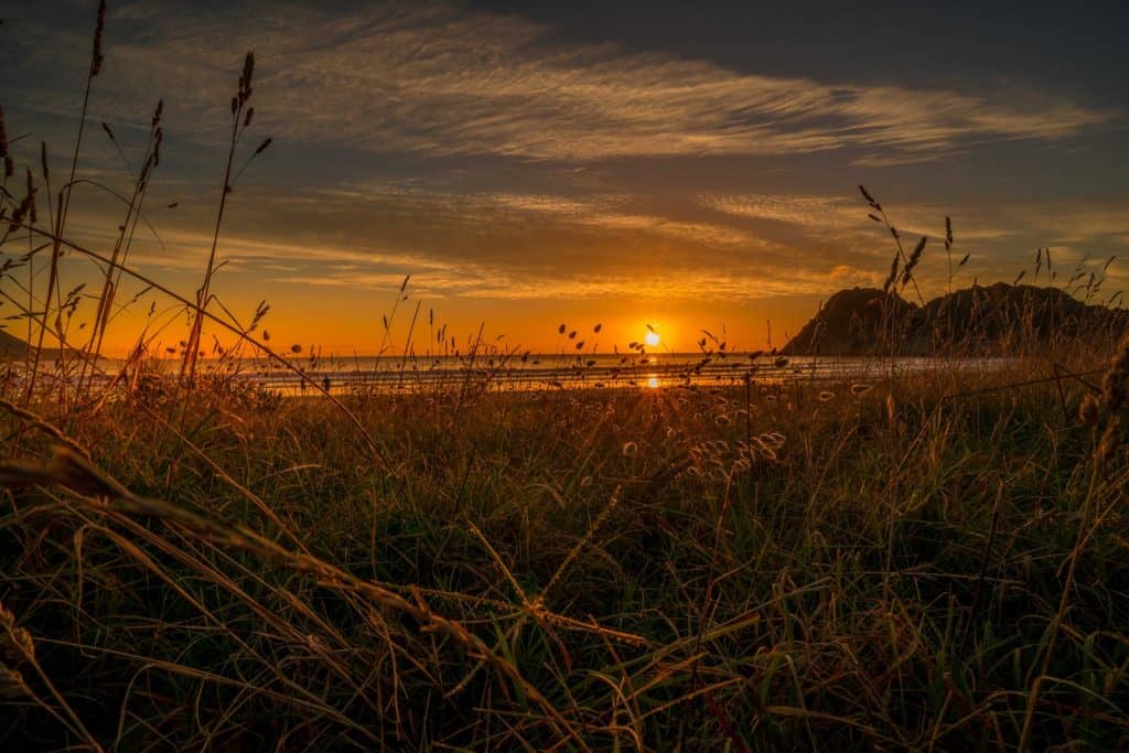 Whangara Beach