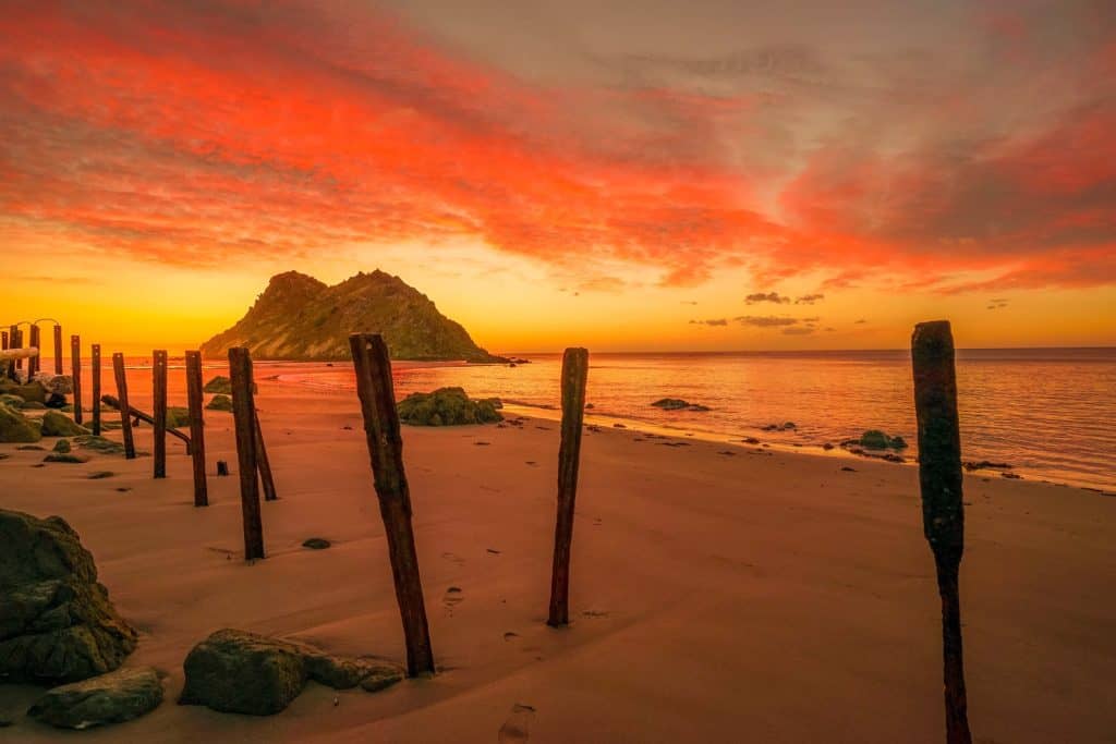Whangara Beach