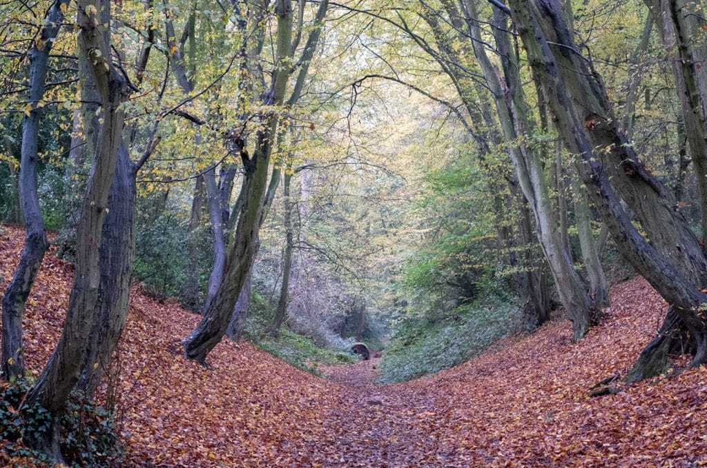 Wheathampstead