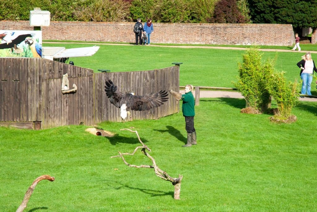 Zoológico de Whipsnade