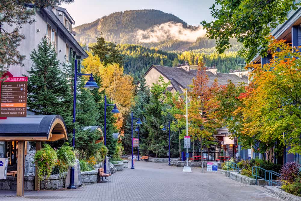 Whistler calle