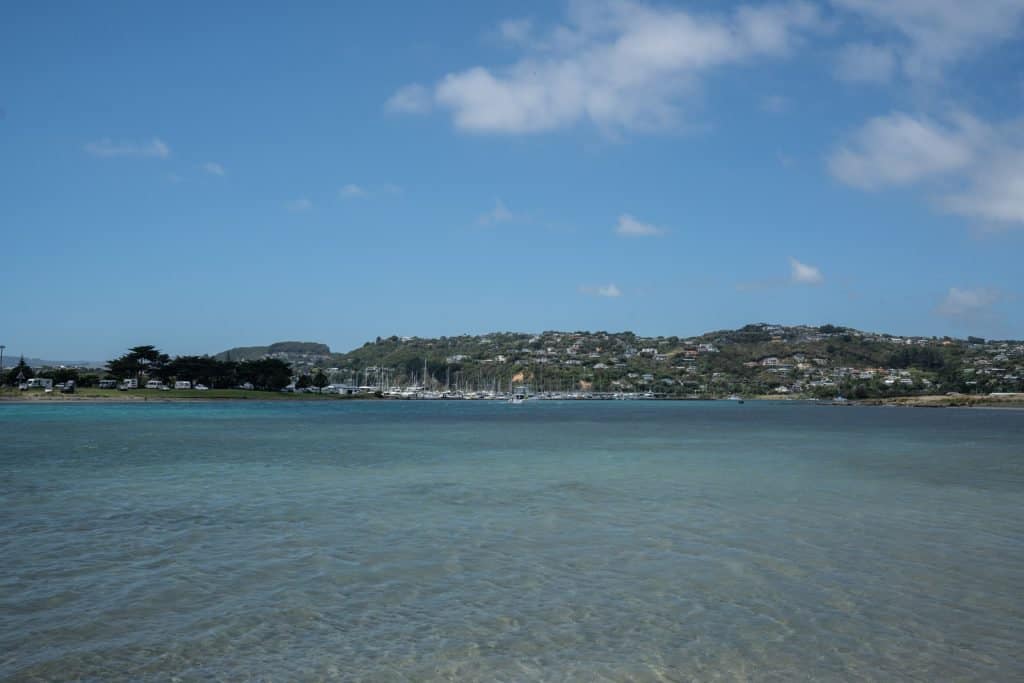 Whitireia Park