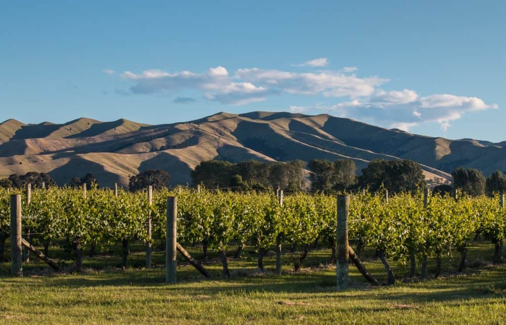 Wither Hills
