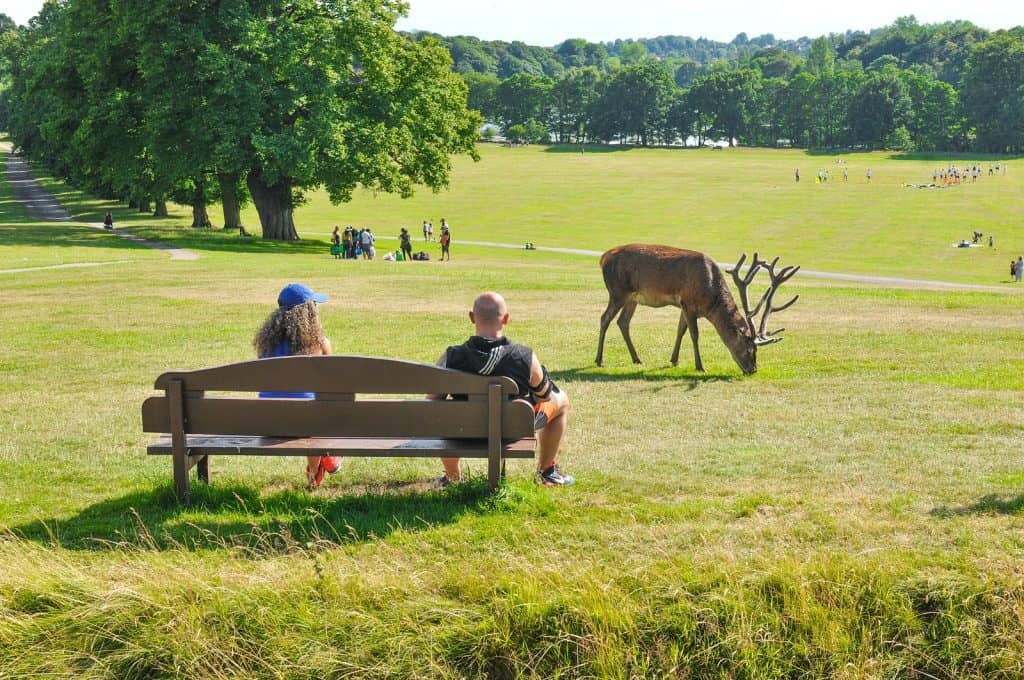 Deer park