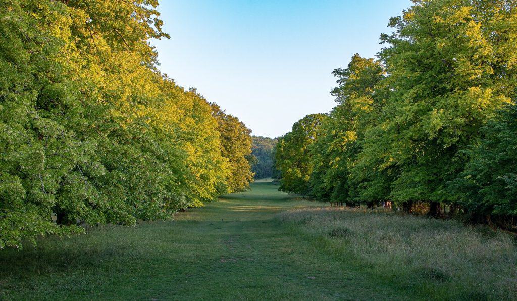 Wooburn Park
