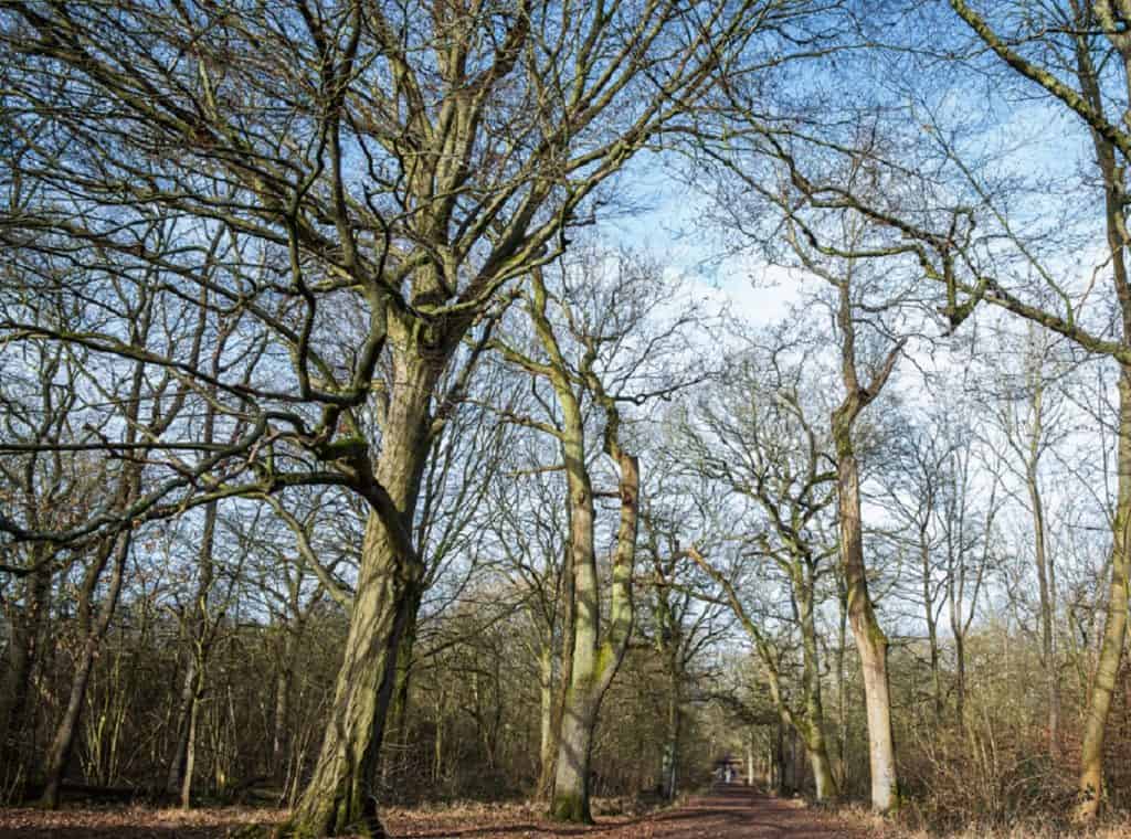 Wooburn Park