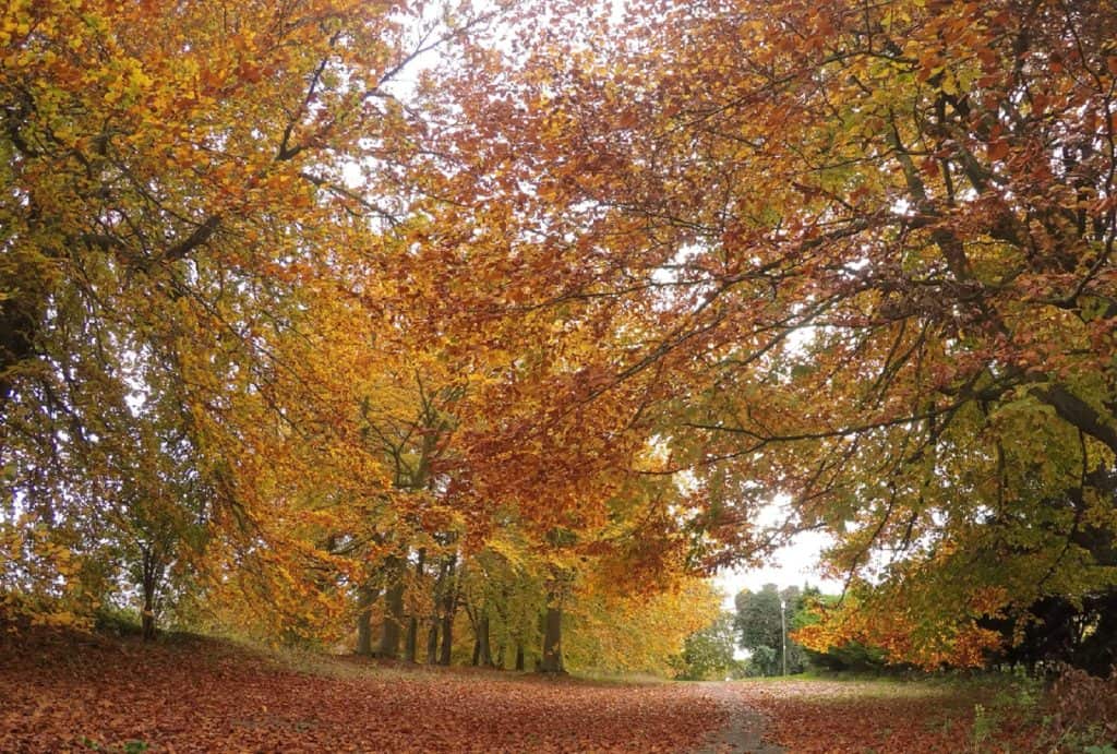 Wooburn Park