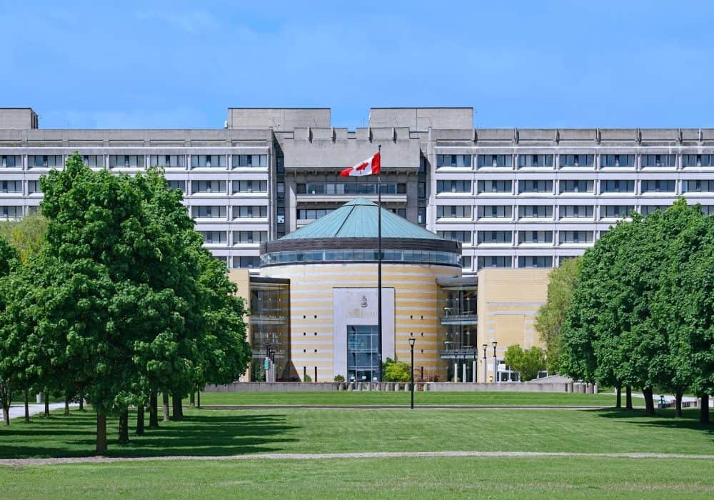 York University