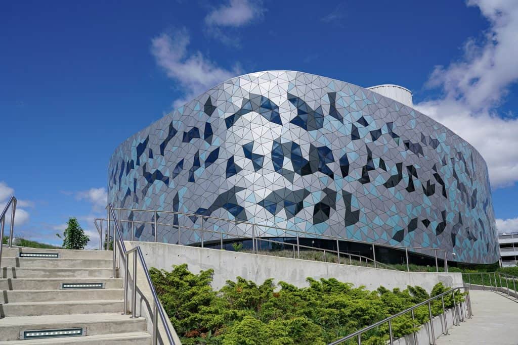 York University