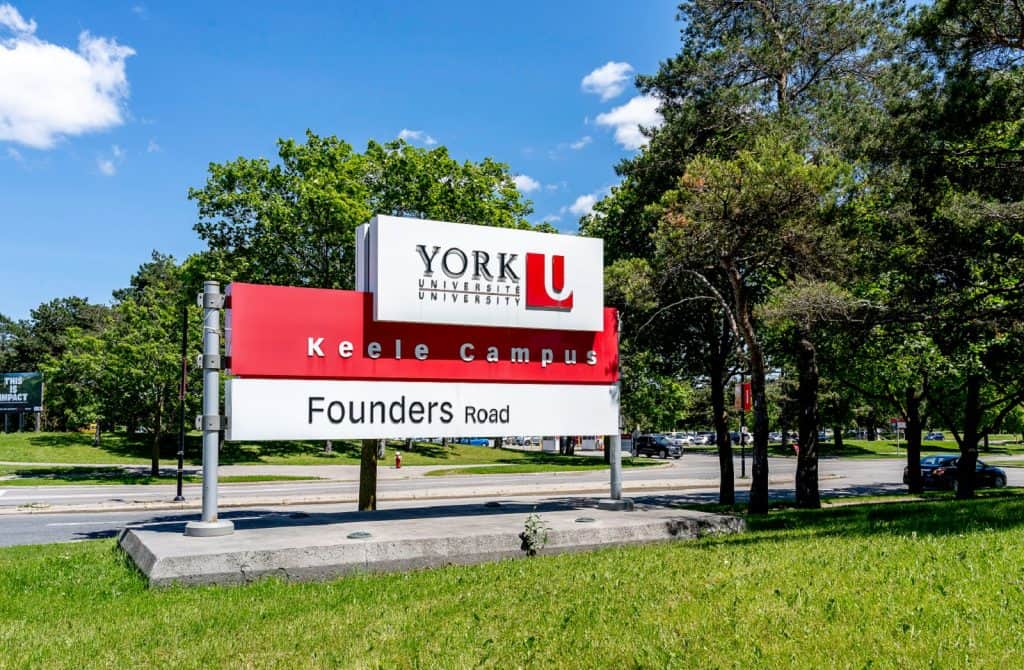 York University