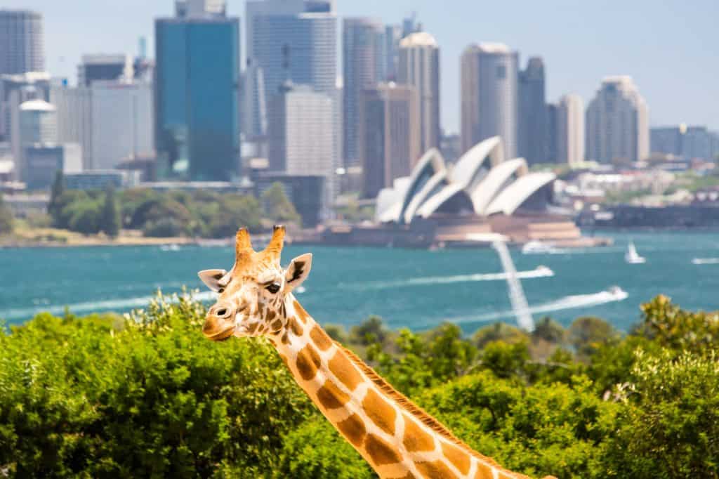 Zoológico Taronga