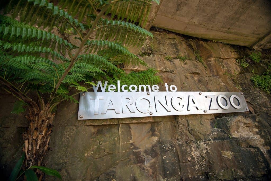 Zoológico Taronga