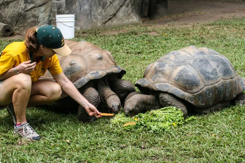 Zoológico de Australia