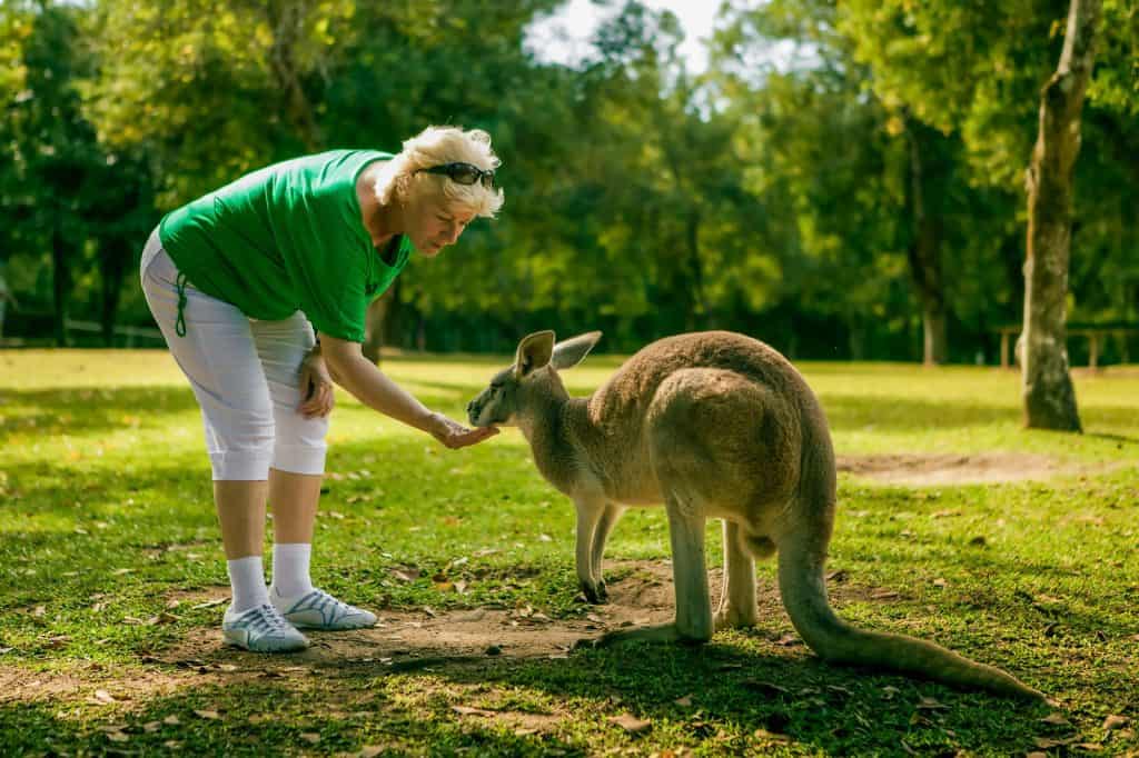 Zoológico de Australia
