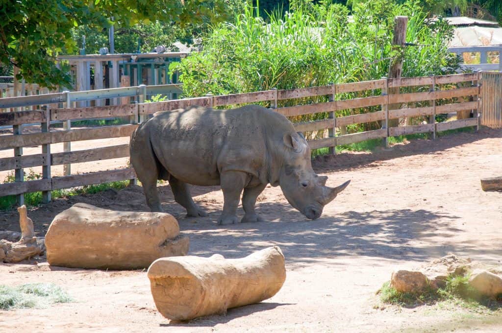 Zoológico de Perth