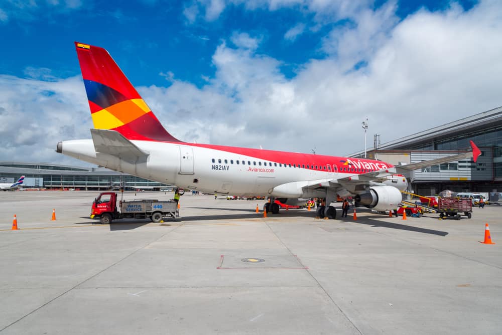 Avianca viajar con mascotas