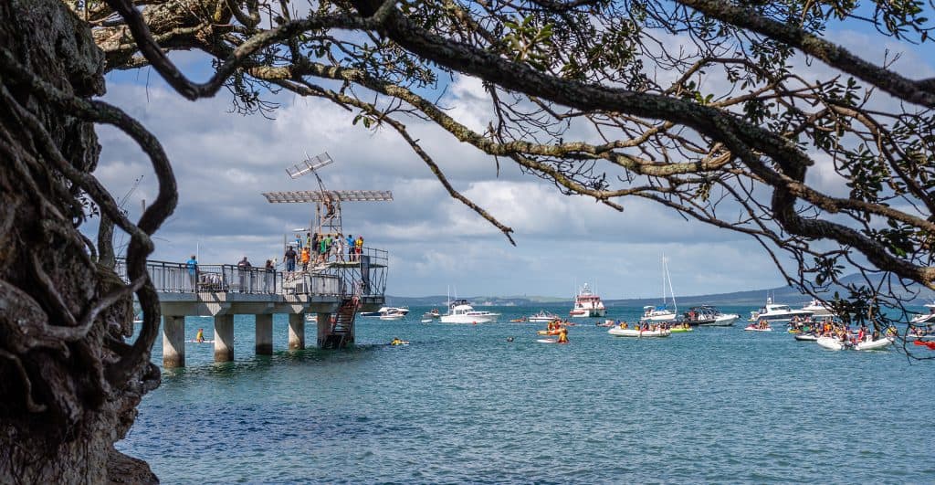 Birdman Festival, Auckland