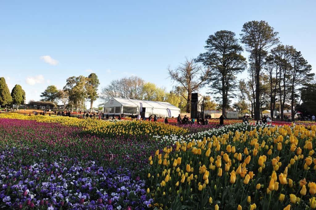 floriade festival de primavera