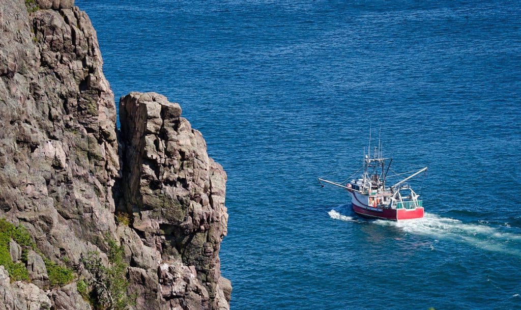 St. John´s harbour