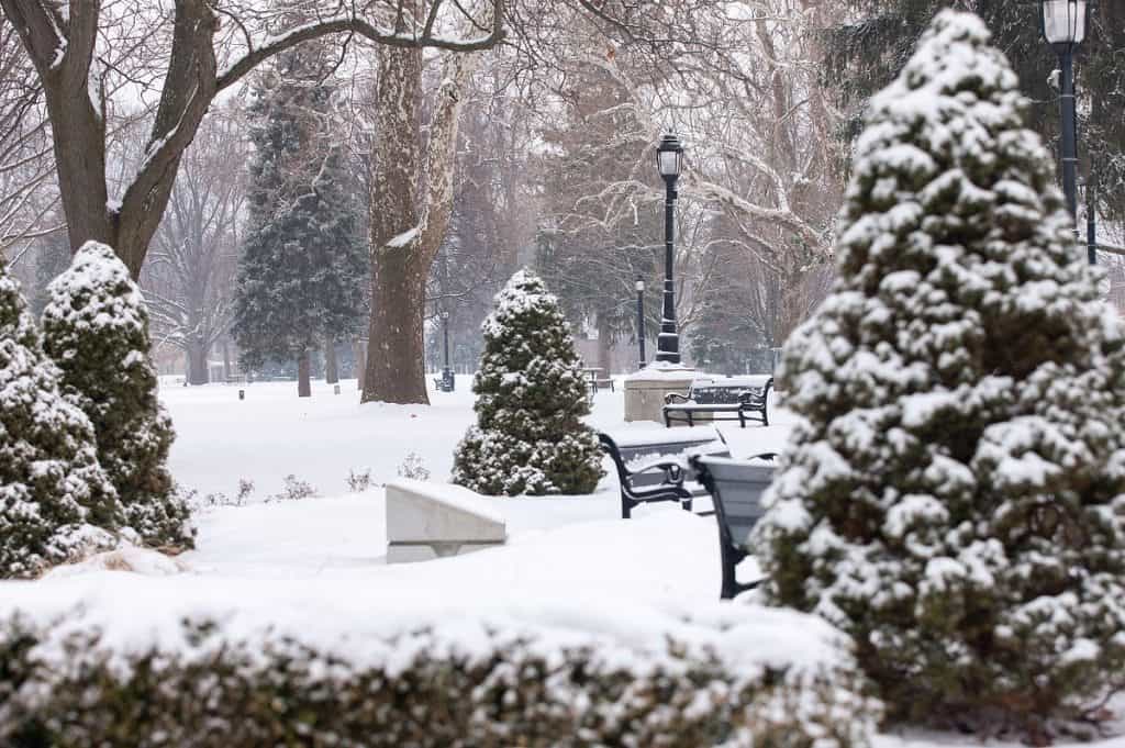 Victoria park en invierno