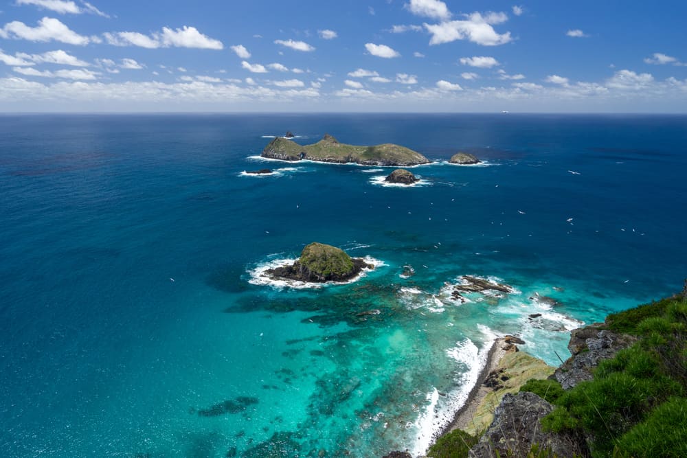 Malabar Cliffs
