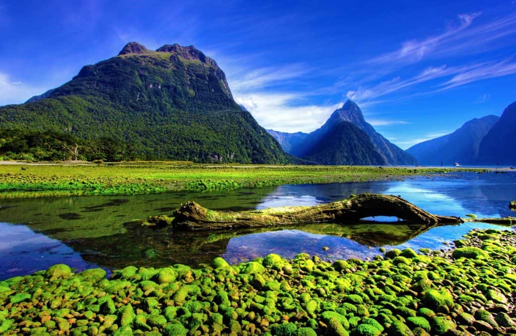 Milford Sound