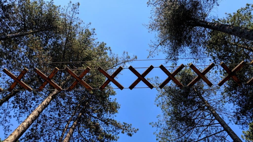 El bosque de Sherwood