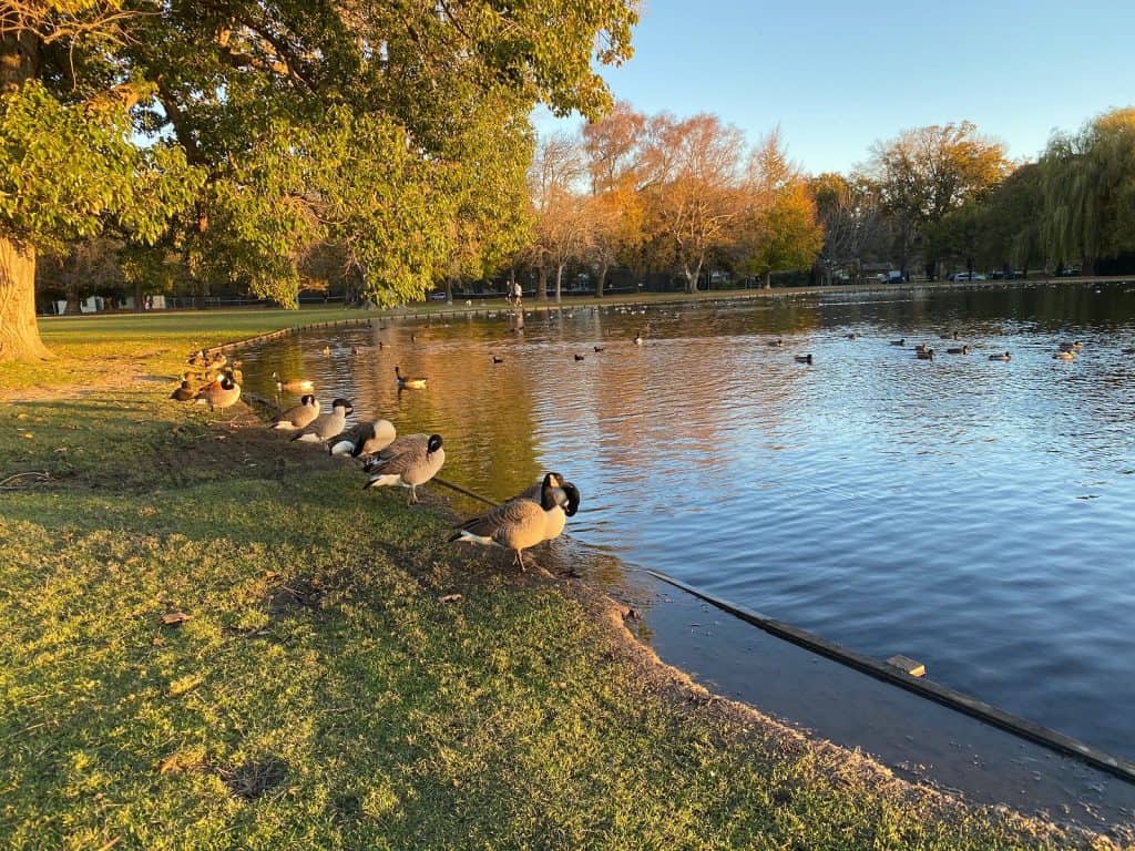 Hagley North Park