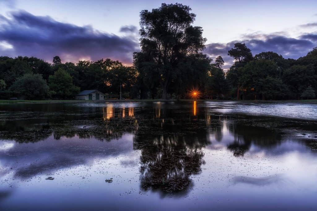 Park in Christchurch