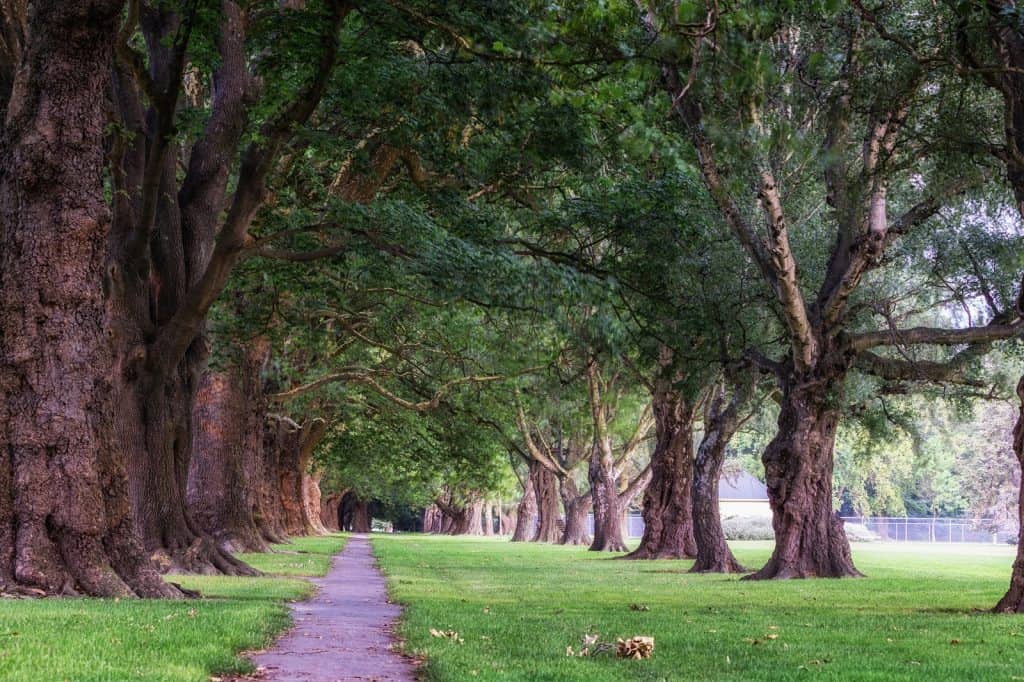 Hagley North Park